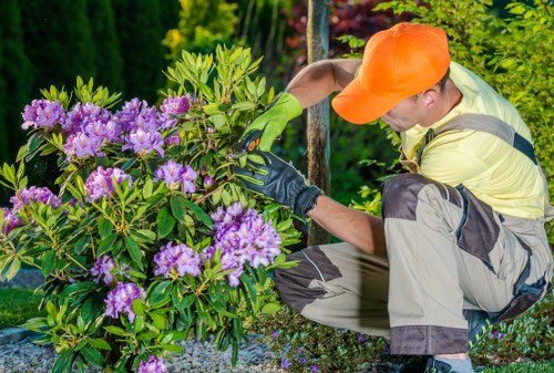 Front view of a Gardener Marylebone team arriving at a residential garden