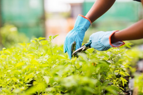 Sustainable gardening practices by Gardener Marylebone in Marylebone