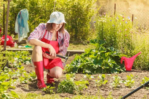 Gardener Marylebone team providing accessible service in a courtyard garden