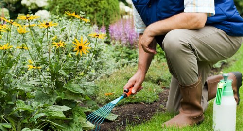 Composted mulch being reused in a sustainable garden bed