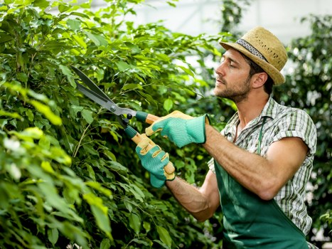 Thriving green space in Marylebone crafted by Gardener Marylebone