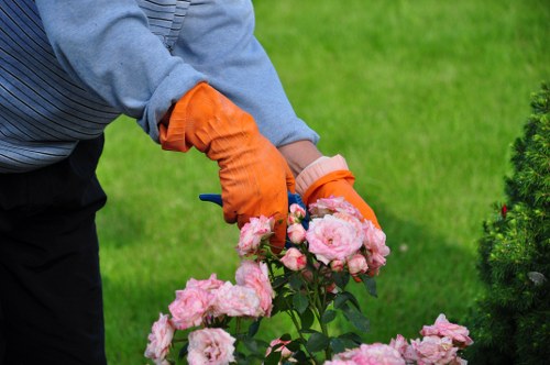 Professional hedge trimming techniques being applied