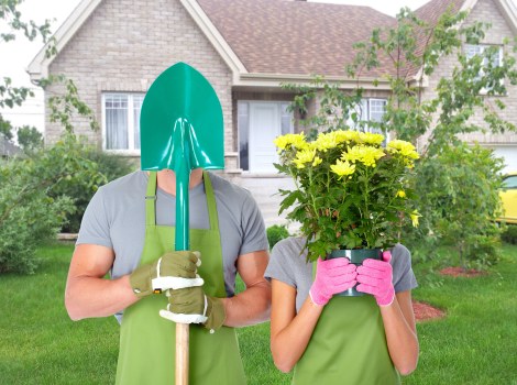 Tools used for hedge trimming in Marylebone